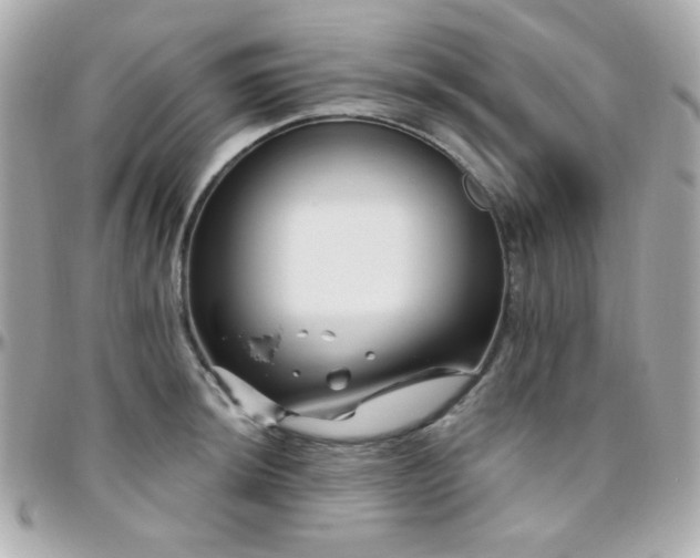 X0000096471044200801241424