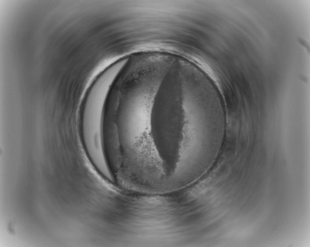 X0000096471045200801241424