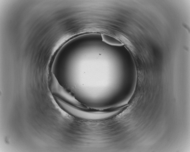 X0000096471046200801241424