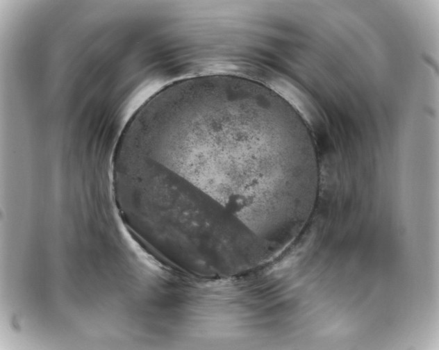 X0000096471047200801241424