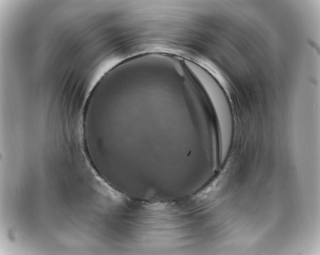 X0000096471048200801241424