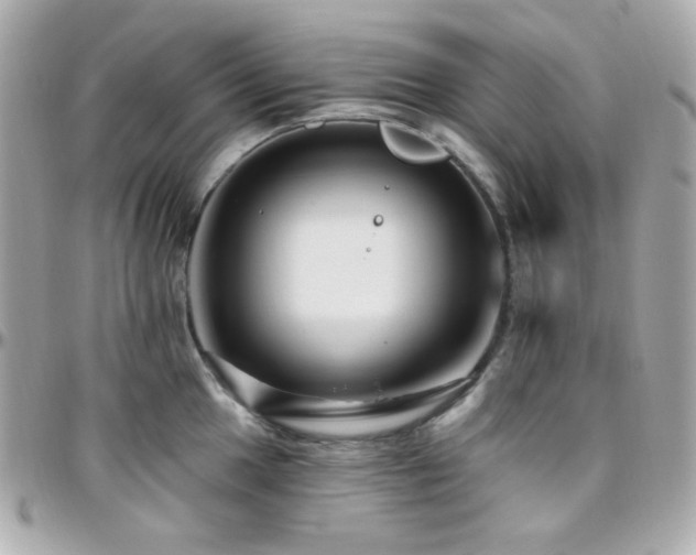 X0000096471049200801241425