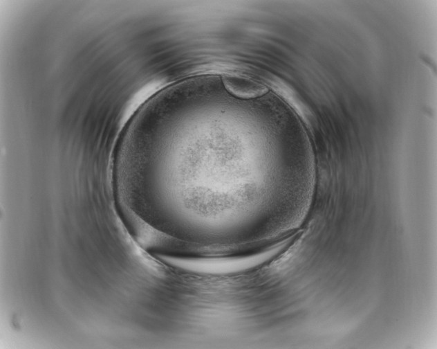 X0000096471050200801241425