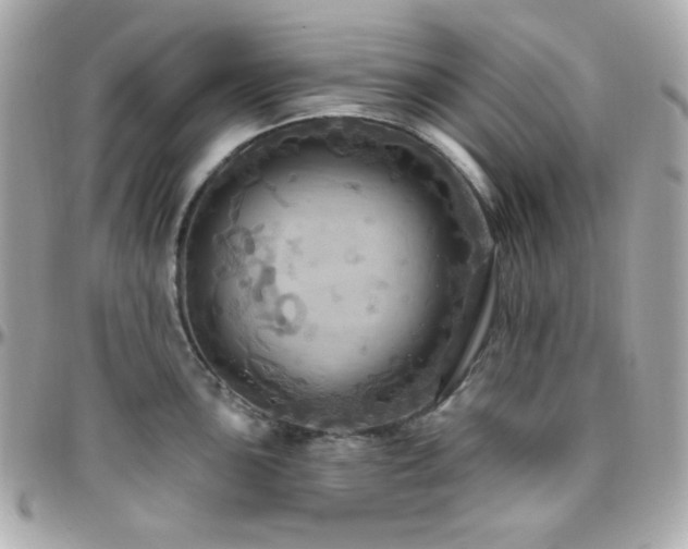 X0000096471051200801241425