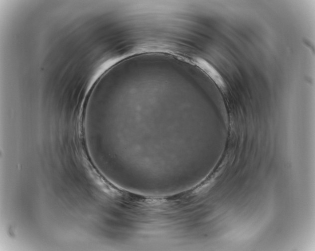 X0000096471052200801241425