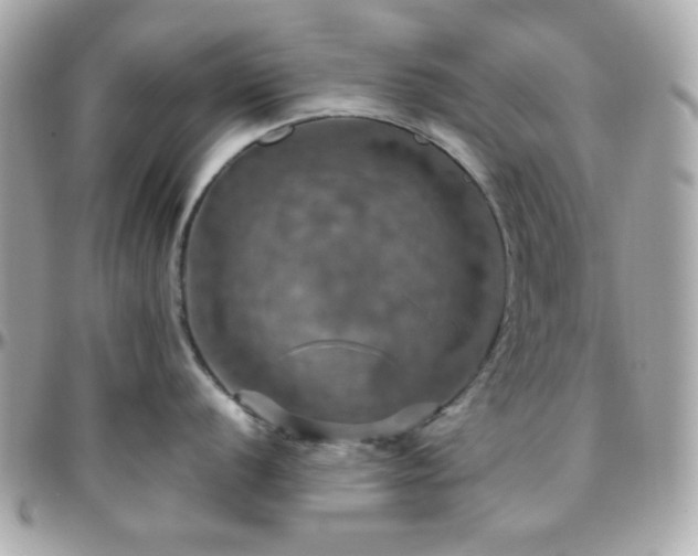 X0000096471056200801241425