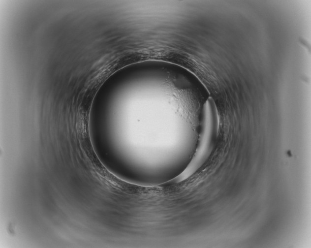 X0000096471058200801241424