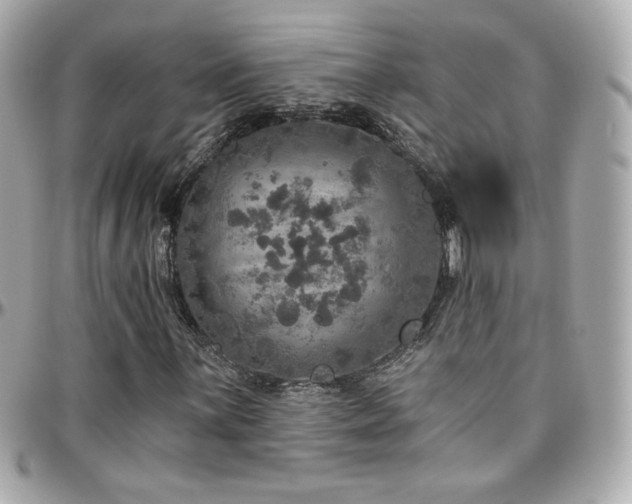 X0000096471059200801241424