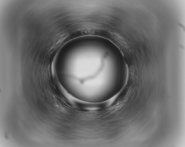 X0000096471060200801241424