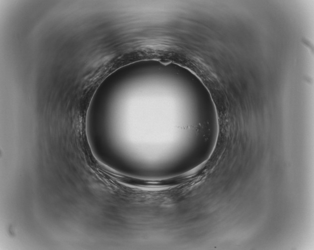 X0000096471061200801241424