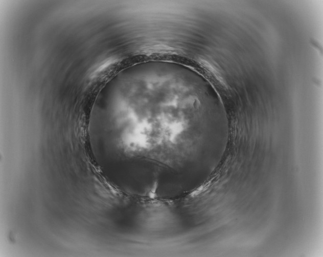 X0000096471063200801241424