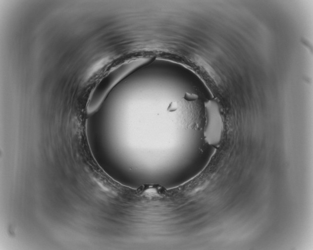 X0000096471064200801241424