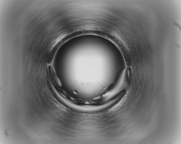 X0000096471065200801241424