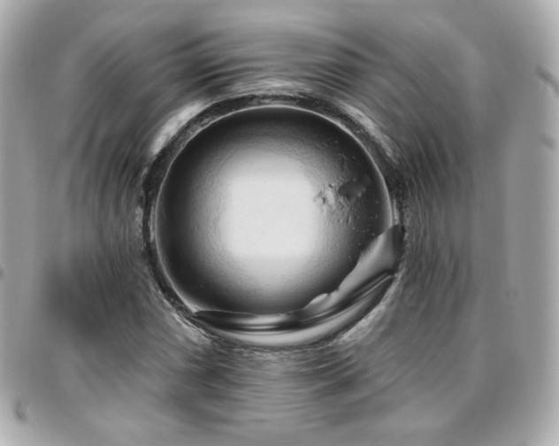 X0000096471066200801241424