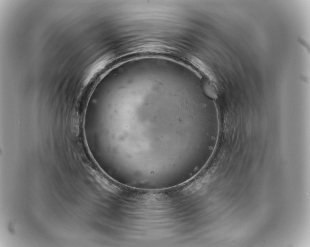 X0000096471067200801241424