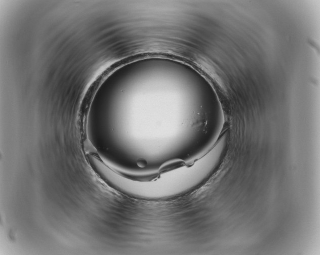 X0000096471068200801241424