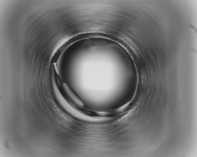 X0000096471069200801241424