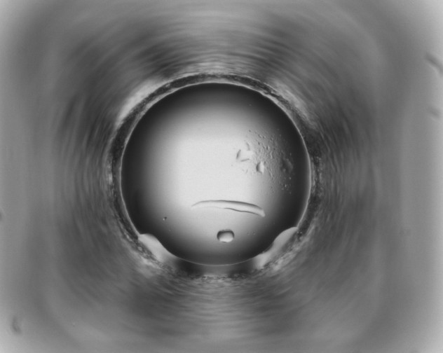 X0000096471070200801241424