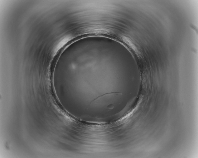 X0000096471071200801241424