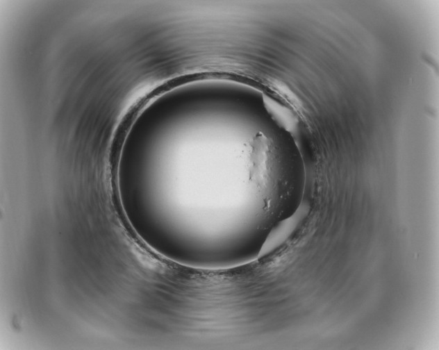 X0000096471072200801241424