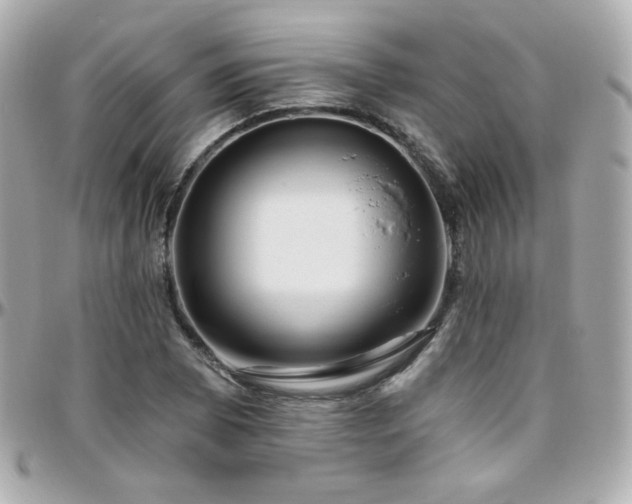 X0000096471073200801241424