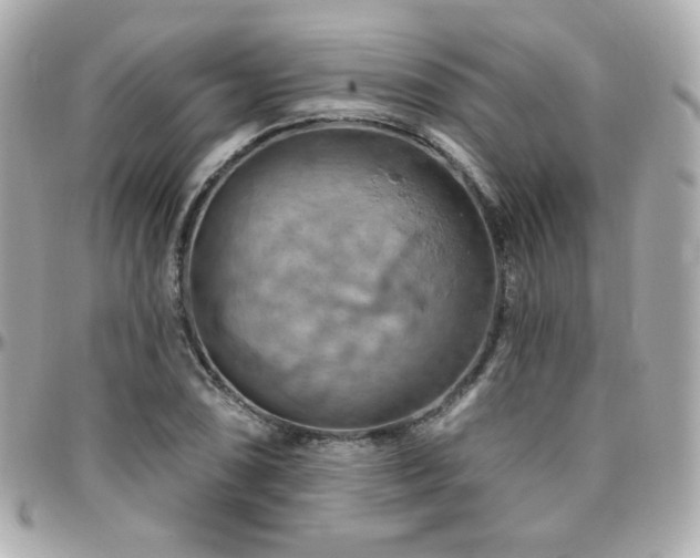 X0000096471074200801241424