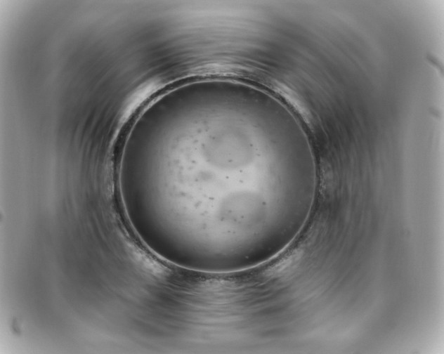 X0000096471075200801241424