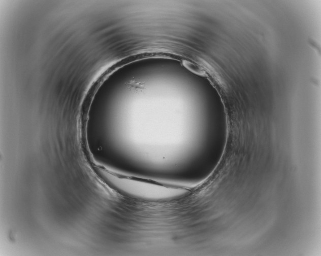 X0000096471076200801241424