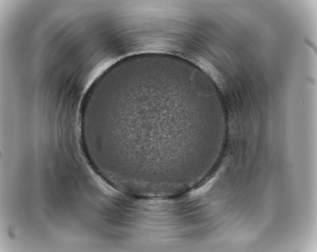 X0000096471077200801241424