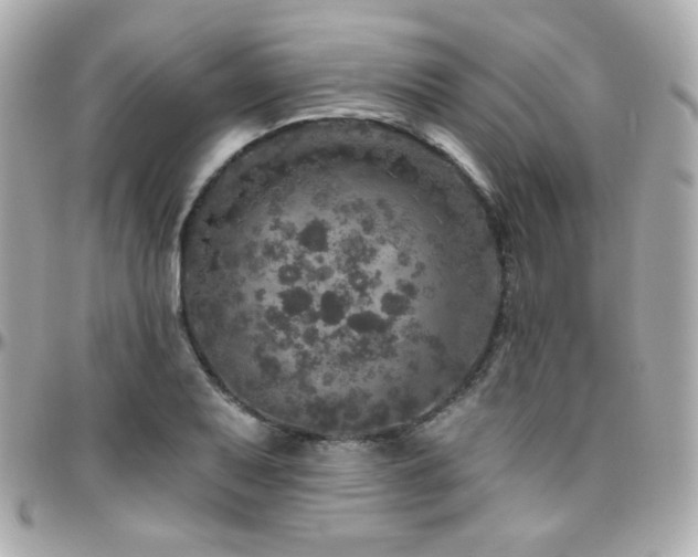 X0000096471079200801241423