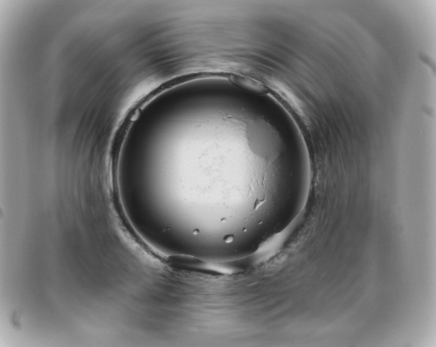 X0000096471080200801241423