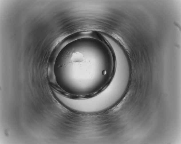 X0000096471081200801241423