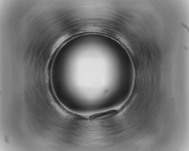 X0000096471082200801241423