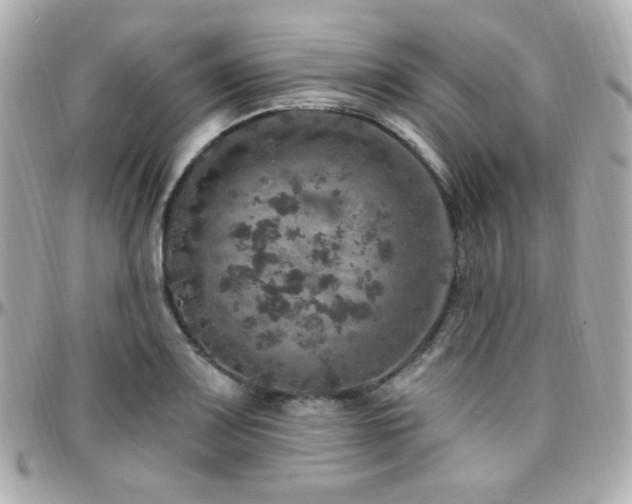 X0000096471083200801241423