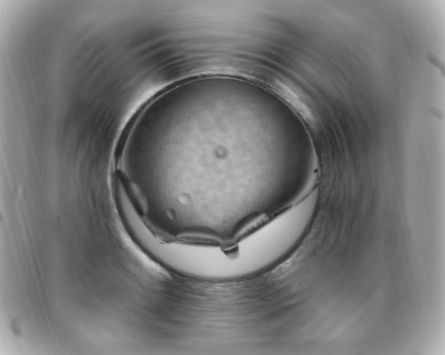 X0000096471084200801241423