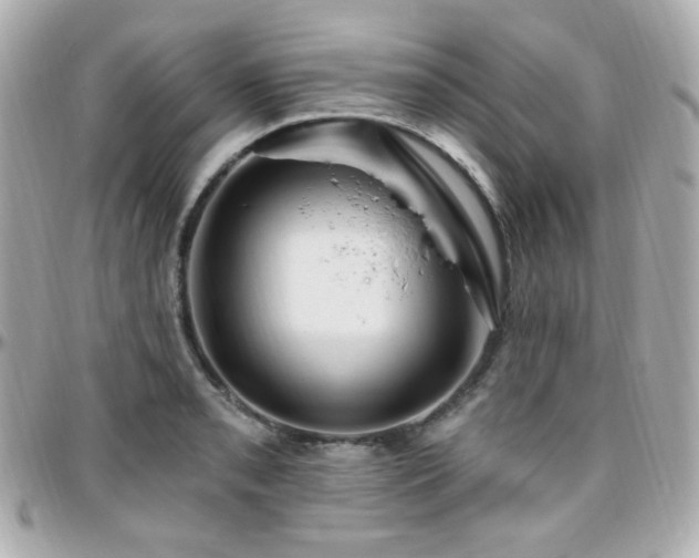 X0000096471085200801241423