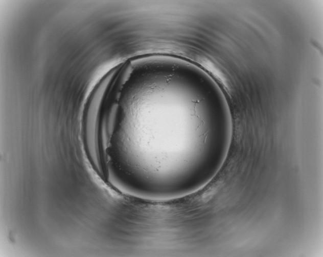 X0000096471088200801241423