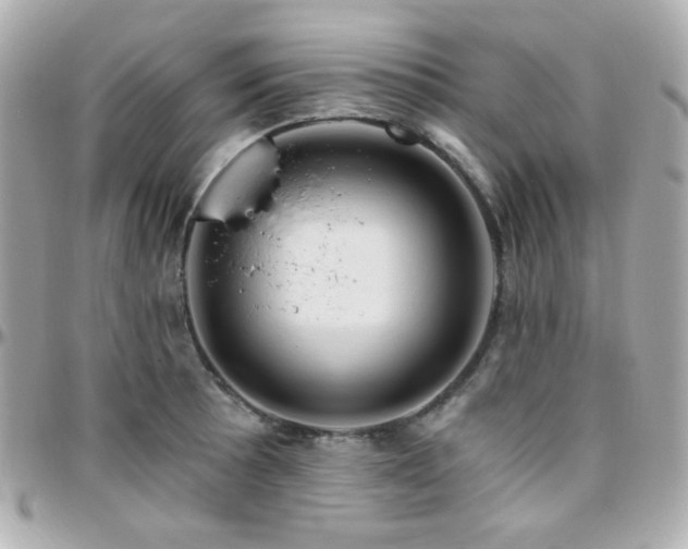 X0000096471089200801241423