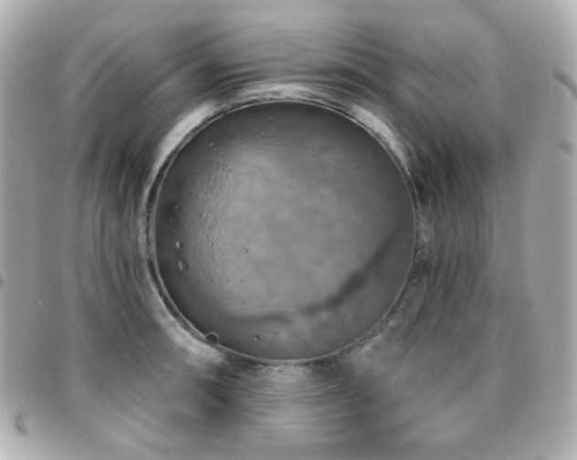 X0000096471090200801241423