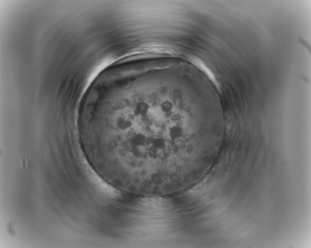 X0000096471091200801241423