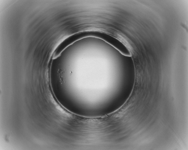 X0000096471092200801241423