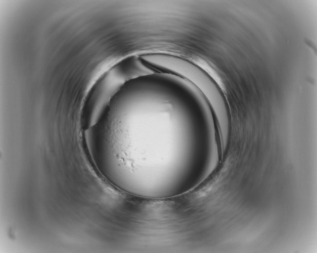 X0000096471093200801241423