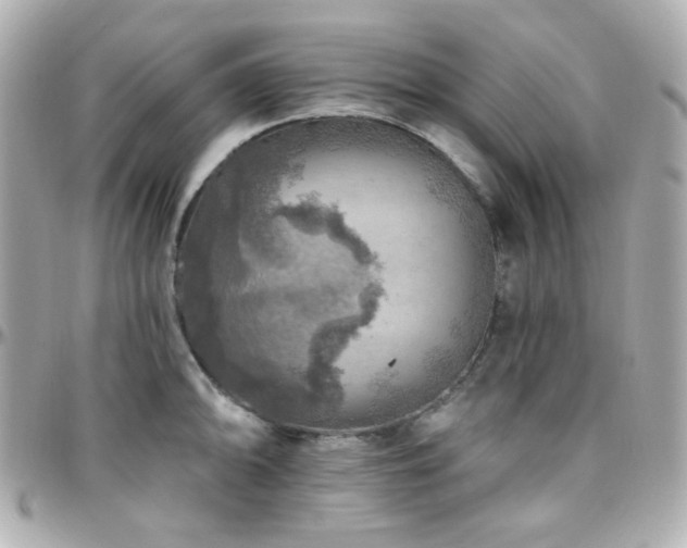 X0000096471094200801241423