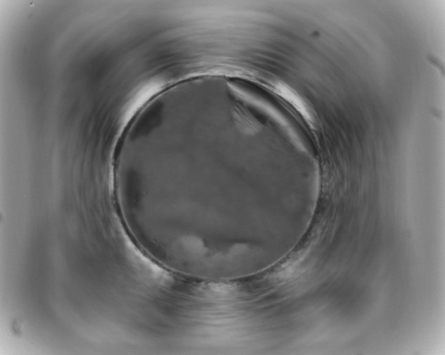 X0000096471095200801241423