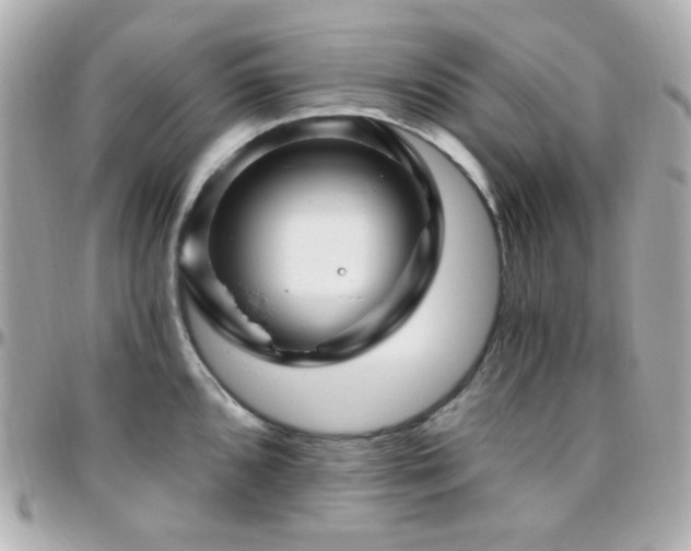 X0000096471096200801241423