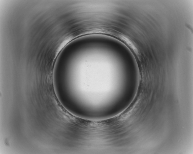 X0000096471097200801241423