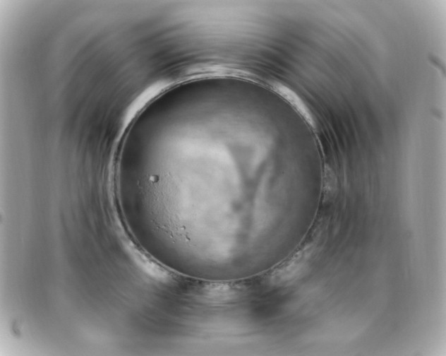 X0000096471098200801241423