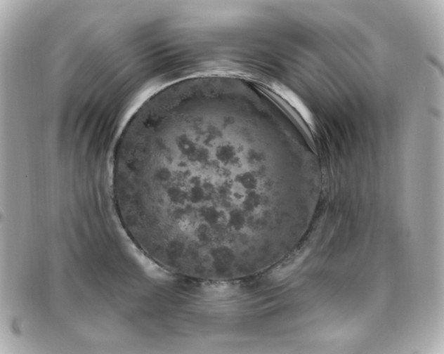 X0000096471099200801241423