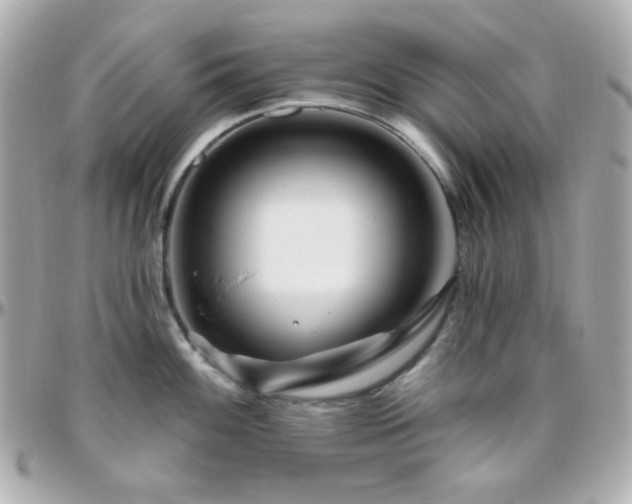 X0000096471100200801241423