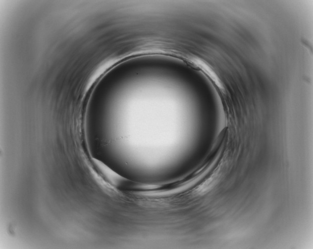 X0000096471101200801241423